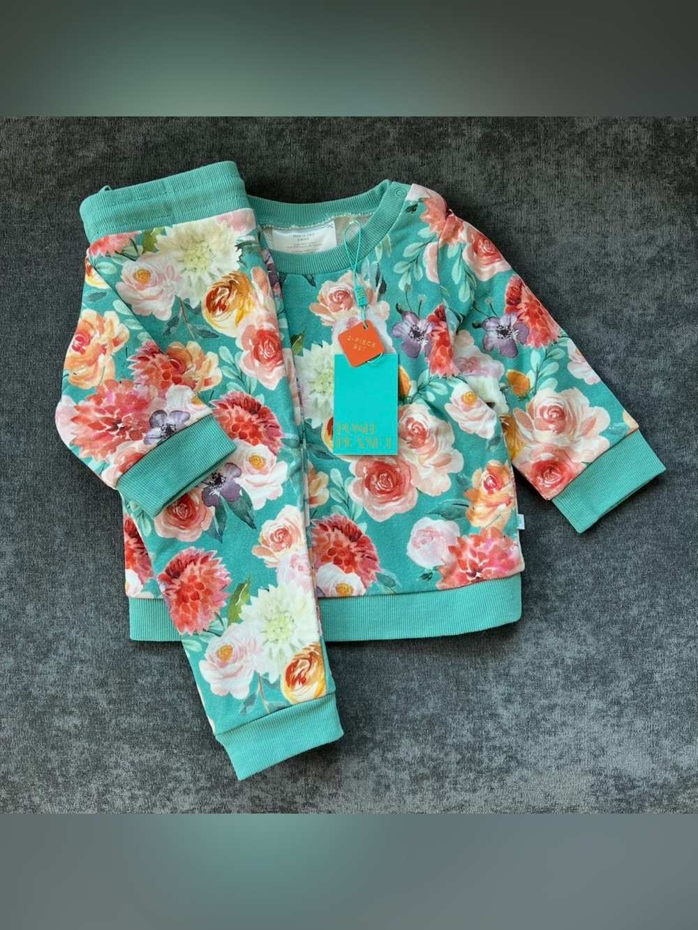 NWT Posh Peanut Floral Sweatsuit Size 12-18 Months